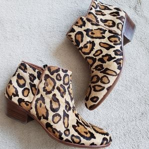 Sam Edelman leopard print calf hair booties